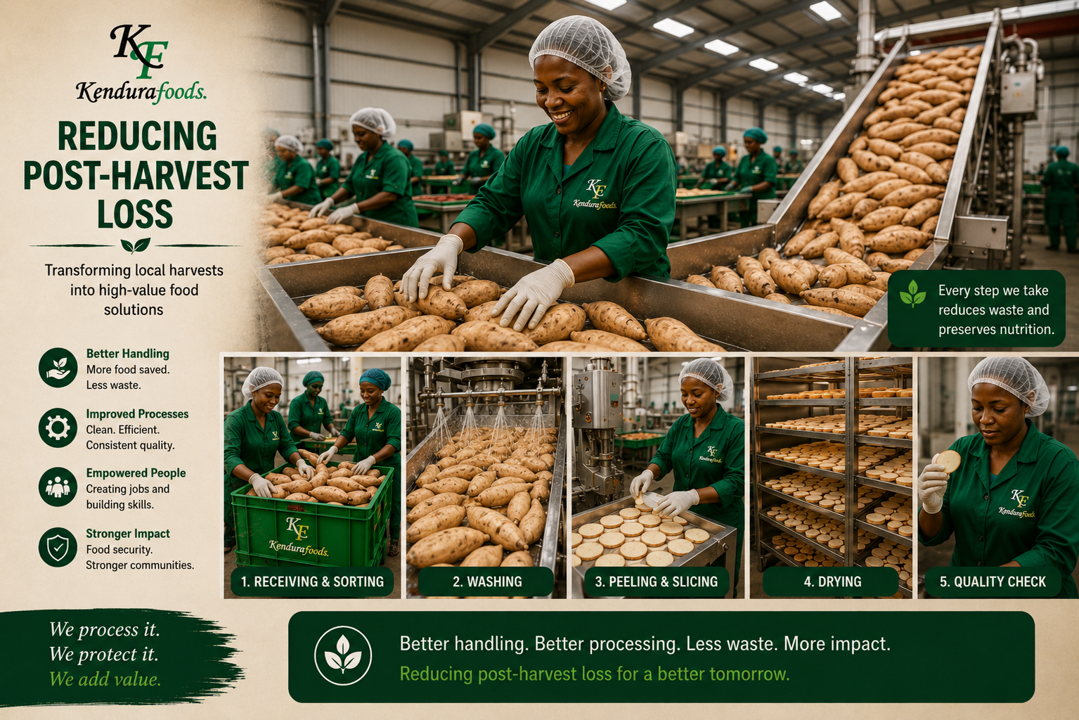 Reducing post-harvest loss through clean, modern processing